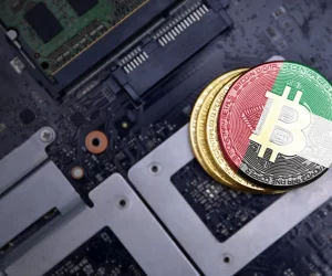 exc-67ab2c223f4d5f4cd2a79763